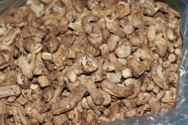 Chân nấm hương khô - Hạt Dinh Dưỡng An Khang - Công Ty Cổ Phần Thực Phẩm An Khang